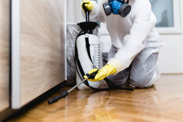 Best Pest Prevention Services  in Surfside, FL