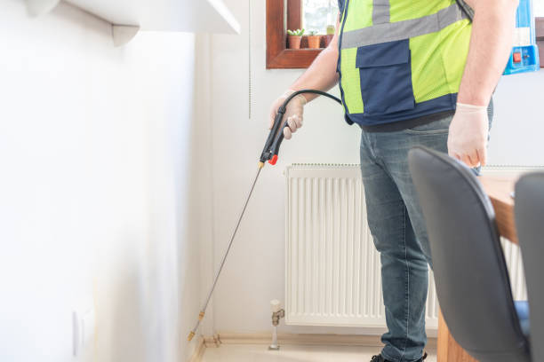 Reliable Surfside, FL Pest Control Solutions