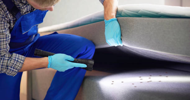 Best Emergency Pest Control  in Surfside, FL